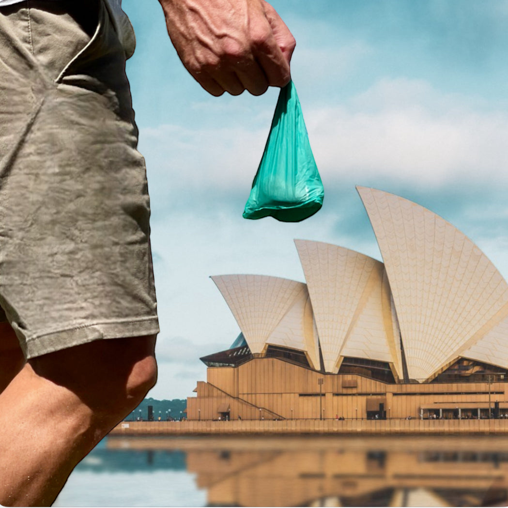 The Best Dog Poop Containers for Walking Your Dog (2025 Guide)