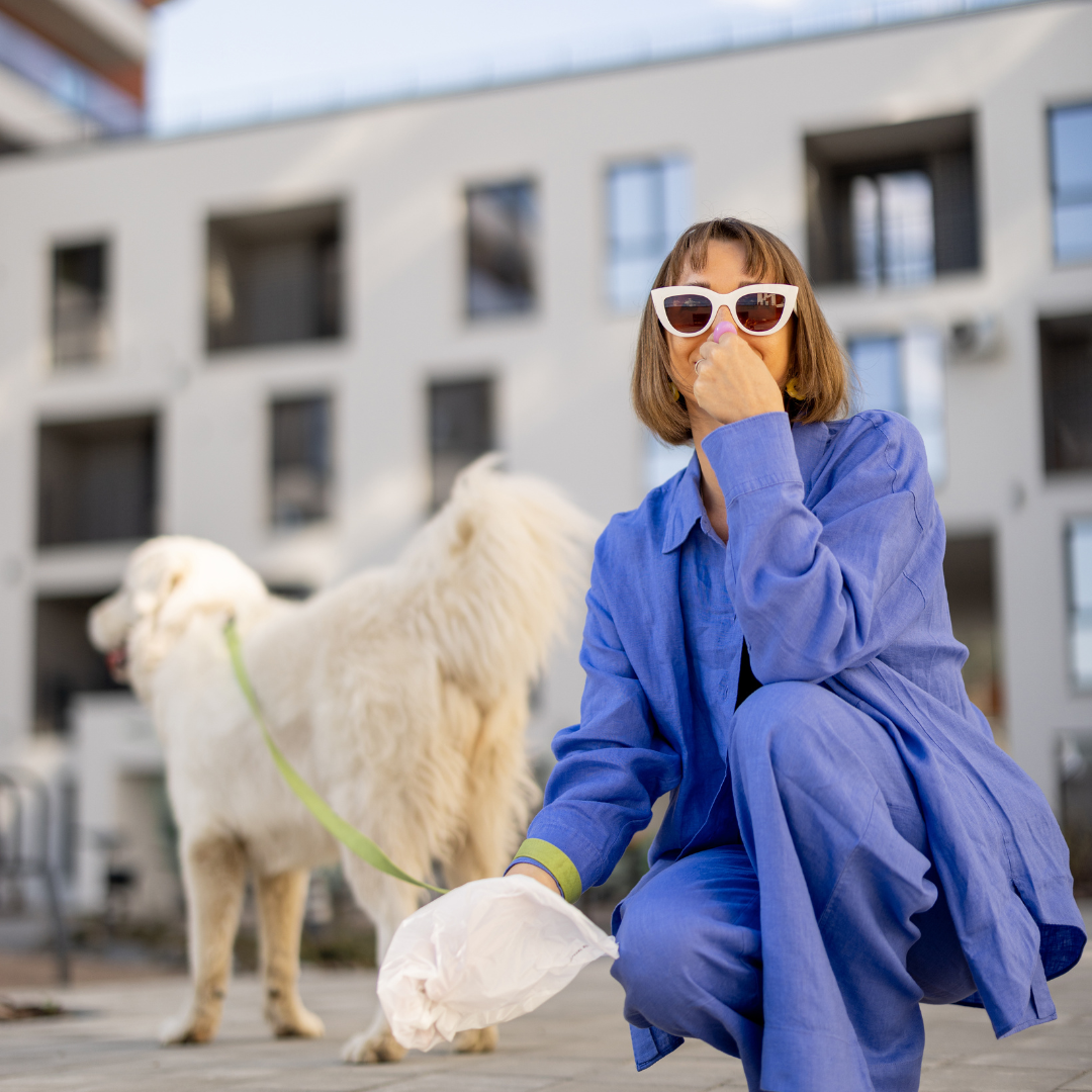Is it the Law in Australia that dog owners must pick up their dog's poo?