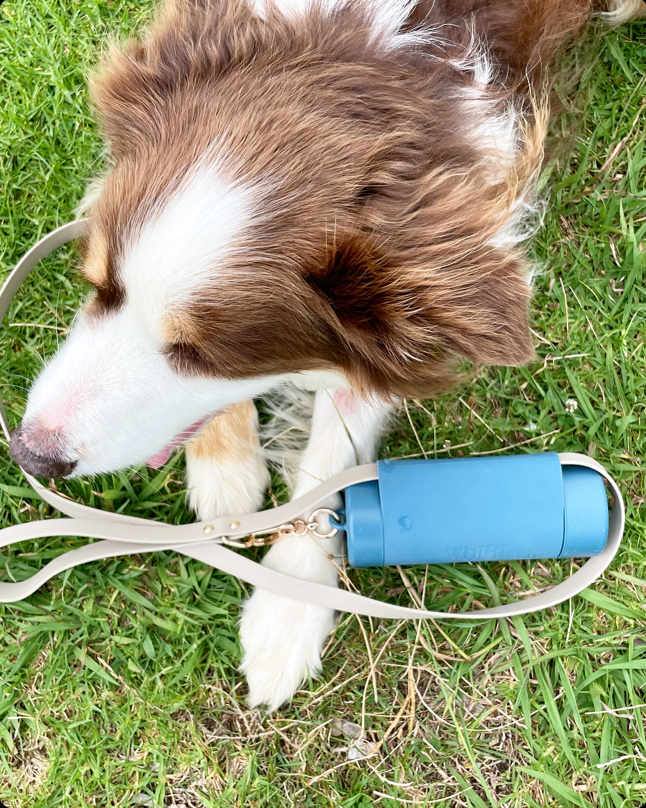 Vegan Leather Dog Lead in Latte