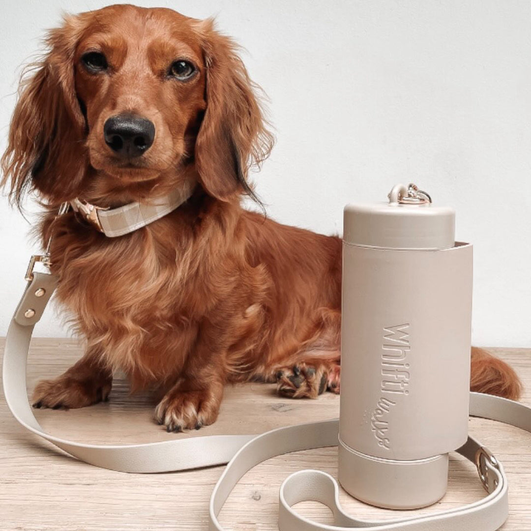 Latte Pod