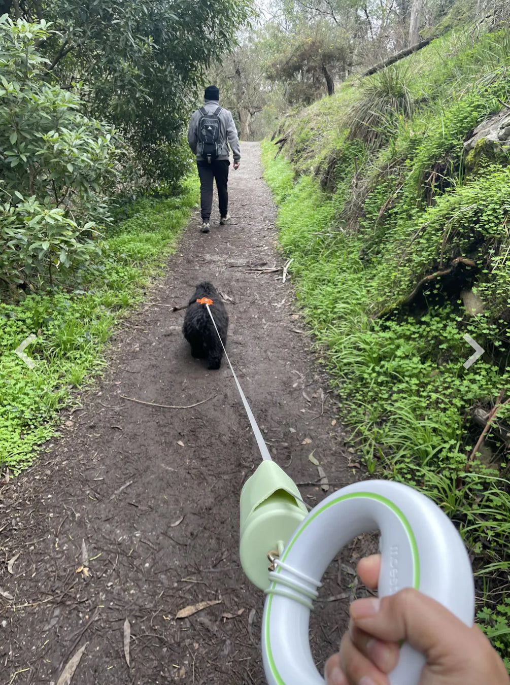 What Is the Best Way to Carry Dog Poop on Long Bush or Coastal Walks?