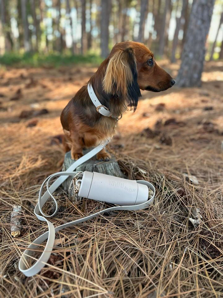 Vegan Leather Dog Lead in Latte